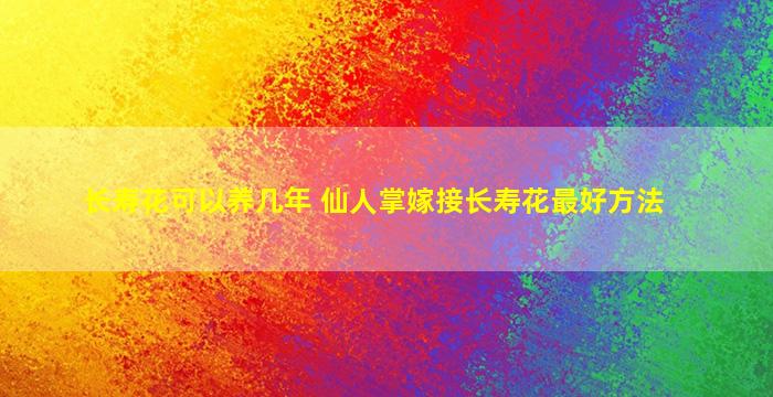 长寿花可以养几年 仙人掌嫁接长寿花最好方法